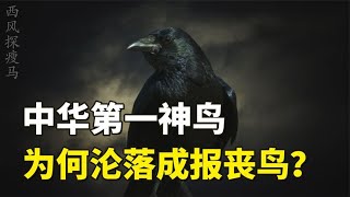 乌鸦的悲催史：从吉祥神鸟到“凶兆之鸟”，它为何会沦为不详化身【西风探瘦马】