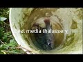 how to catch tilopia fish in pond പടുത കുളത്തിൽ നിന്നും എങ്ങനെ തിലോപ്പിയ മീനിനെ പിടിക്കാം