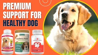 Best Supplement For Dog Urinary Health -Keep Your Bestie Feeling Zesty