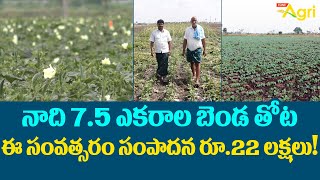 Benda, Ladies Finger Farming | నాది 7.5 ఎకరాల బెండ తోట ఈ సంవత్సరం సంపాదన రూ.22లక్షలు..!! Tone Agri