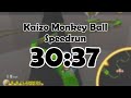 Kaizo Monkey Ball speedrun in 30:37 [World Record]