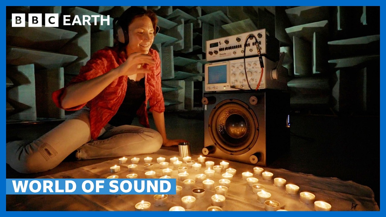 Visualising The World Of Sound Bbc Earth Science Go It