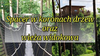 A walk in the treetops - Pomiechówek, Wkra valley