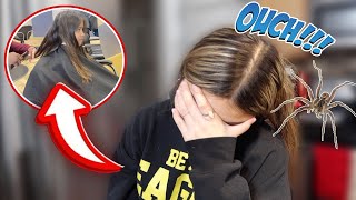 Analeigha Got Bit By Something | Vivyana Cut Her Hair 😱