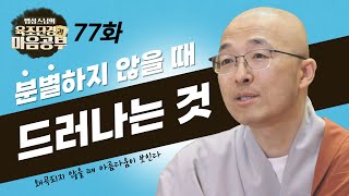 분별하지 않을 때 비로소 드러나는 것! - [법상스님의 육조단경과 마음공부 77회]