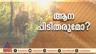 ആന എവിടെ? ആന ഓടിയതോടെ ആദ്യദിന മയക്കുവെടി ശ്രമം പാളി; വെള്ളം കുടിക്കാൻ വരുമെന്ന് ഇന്ന് പ്രതീക്ഷ