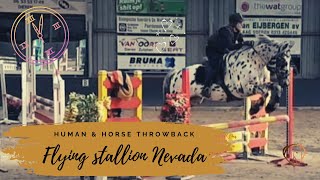 APPALOOSA STALLION NEVADA'S  FIRST JUMPING PARCOURS 🤍🖤