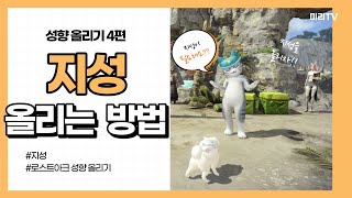 SUB)로스트아크 성향올리기 4편 지성 올리는 모든 방법 총 정리!!(All ways to raise your lost arc intellect)