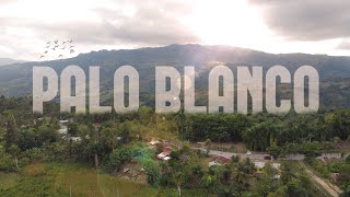 PALO BLANCO - PUERTO PLATA - REPUBLICA DOMINICANA