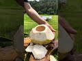 amazing peeling coconut on a sunny day🥥🔪 fruit coconut coconutcutting viralshort asmr shorts