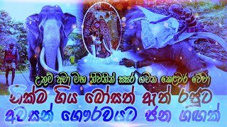 NADUNGAMUWA RAJA FUNERAL | නදුන්ගමුව රාජා අවසන් කටයුතු |  නැදුන්ගමුවේ රාජා ඇත්‍ රජු උපහාර