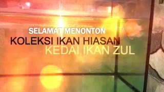 KEDAI IKAN HIASAN ZUL