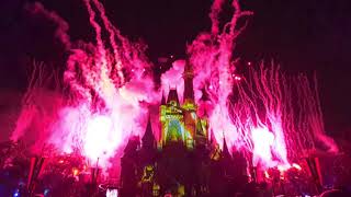 Orlando Disney World Magic Kingdom 20190728