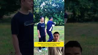 A baguazhang can stun an opponent. #martialarts #kungfuskills #kungfutechnique