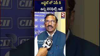 బడ్జెట్ లో ఏపీ కి వచ్చినవి ఇవే | Benefits For AP In The Budget | RTV Tirupati