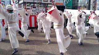 天空しなとやしん　第18回東京よさこい　2017/10/8