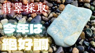 【翡翠採取】新年一発目の採取でいきなり最高の翡翠をゲットしました。