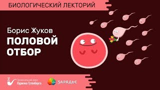 Биолекторий | Половой отбор – Борис Жуков