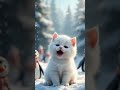 cute white kitten singing let it go❄️