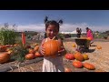 A Pumpkin Patch with a Family Legacy - America's Heartland