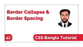 Css Border Collapse And Border Spacing Property Bangla Tutorial | Css Bangla Tutorial Full Course