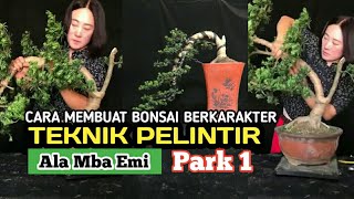 CARA MUDAH MEMBENTUK BONSAI