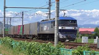 東海道線を走るEF210・EF66牽引貨物列車《5050ﾚ・1050ﾚなど・・》2018.06.16