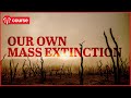 Sixth Mass Extinction