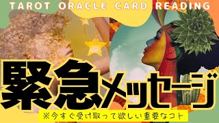 ［⚠️スルー厳禁🚫］あなた様に今すぐ受け取って欲しい緊急メッセージ［占い🔮タロットオラクルカードリーディング🪬］