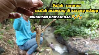 MENYERAMKAN 😱 MANCING DI CURUG JARANG TERJAMAH MANUSIA..