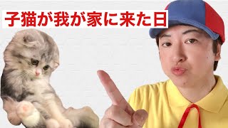 子猫が我が家にやってきた日　《スコティッシュフォールド》