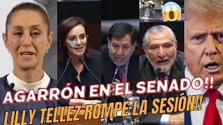 SE ACABO!!! LA LOCA DEL SENADO #LillyTellez REVIENTA SESIÓN!! #Claudia RESPONDE SOBRE EL NEPOTISMO!!