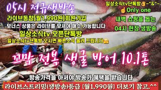 방어 꼬막 전복 생굴 갈치 숭어 11/22일 05시 정규라이브(월~토)☝️Only one 새롭고 싸고 다양한 노량진수산시장 새벽 쇼핑을 돕는 정규생방송(Live)운영~^^