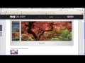 How to find jQuery Plugins