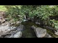 Galleny Force Waterfalls. Borrowdale Valley Cumbria