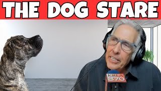 The Surprising Truths About Pet Behavior Nobody Tells You