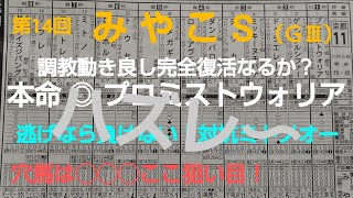 🐴 第14回  みやこステークス（GⅢ）予想❗️