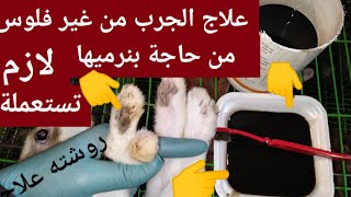 علاج للجرب نهائيا من غير فلوس من حاجة بنرميها استعملة مرة واحدة وشوف النتيجة للقضاء على الجرب 👍