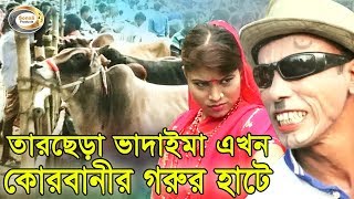 Bangla Comedy - তারছেড়া ভাদাইমা এখন কোরবানীর গরুর হাটে | ভাদাইমার ঈদ আকর্ষণ