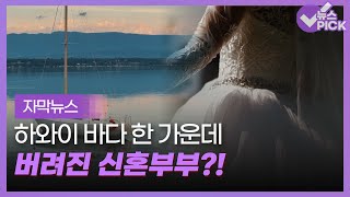 [자막뉴스] 하와이 바다 한 가운데 버려진 신혼부부 / OBS 뉴스O