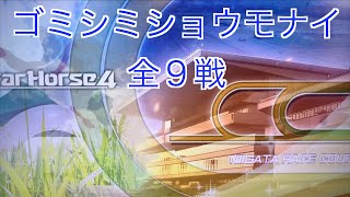 【スターホース４】　ー 420頭目ー　ゴミシミショウモナイ　全9戦　※418頭目のゴミシミタイミングと、419頭目のゴミシミマイハートとの次世代馬です(生産は血統表生産P2C6)。