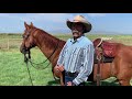 Horseback Riding with Proper Posture