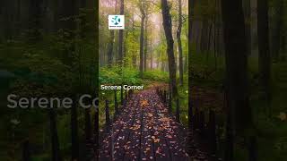 Beautiful Relaxing Music, Peaceful Soothing Music for your body and mind. Meditation, Yoga, Study.