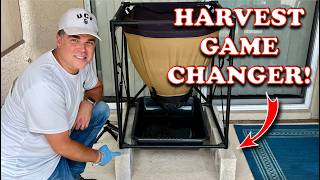 Worm Casting Harvest Made Easier! | Vermicompost Worm Farm