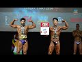 INBA PNBA PRO/AM ASIA PACIFIC CHAMPIONSHIPS 2024: Men's Bodybuilding Multiple Masters' Classes