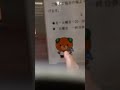 みきゃん～愛媛県～キャラクターみかん🍊