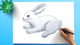 How to draw a Rabbit Easy Step by Step 🐇 Easy Bunny Rabbit Drawing Tutorial