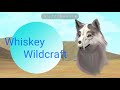 [ Wildcraft Intro ] Intro @slayy.k