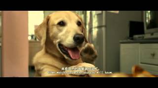 My Dog Dou Dou 我的狗蚪蚪  Teaser