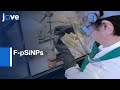 F-pSiNPs Synthesis for Oligonucleotide Delivery | Protocol Preview